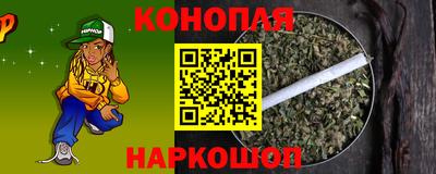 крисы Краснознаменск