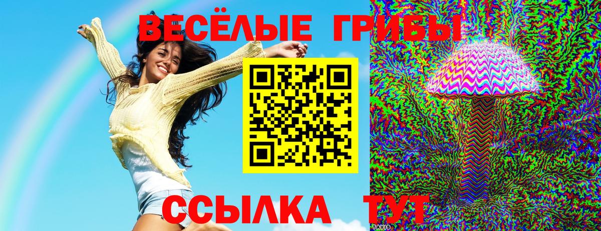 Котельники  Псилоцибиновые грибы GOLDEN TEACHER  Вход с VPN 