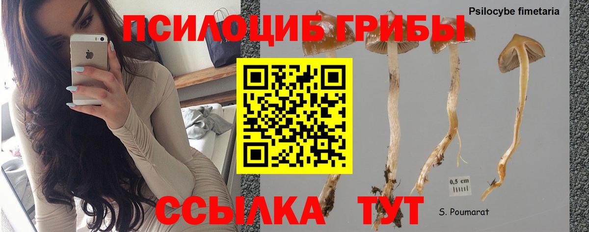 Псилоцибиновые грибы мухоморы Котельники